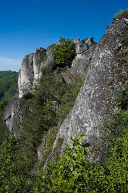 Slovakya Dağları 'ndaki Sulov Kayalıkları. İlkbahar yeşil dağ manzarası ve eşsiz kaya kuleleri. Ormanları ve kayaları olan yeşil bir vadi manzarası. Sulov Kayalıkları, Kuzeybatı 'da ulusal doğa rezervi