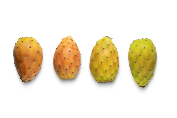 Frutos Cactus Aislados Sobre Fondo Blanco —  Fotos de Stock
