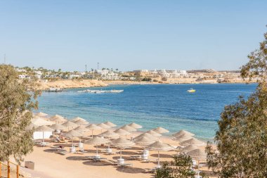 Sharm el Sheikh, Sina, Mısır 'da Kızıldeniz kıyısında palmiye ağaçları olan güneşli bir tatil köyü. Parlak güneşli ışık.