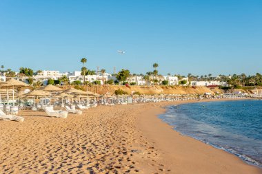 Sharm el Sheikh, Sina, Mısır 'da Kızıldeniz kıyısında palmiye ağaçları olan güneşli bir tatil köyü. Parlak güneşli ışık.