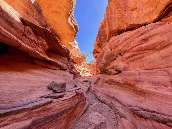 Vue Canyon Red Salam Dans Désert Sinaï Égypte — Photo