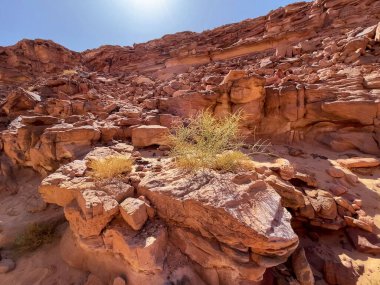 Kırmızı taşlı renkli bir kanyon. Mısır, çöl, Sina Yarımadası, Nuweiba, Dahab.