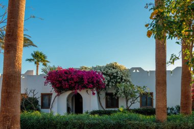 Beyaz binaları ve Mısır 'da dinlenme yeri olan bir otel..