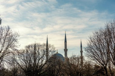 Mavi Cami, şehrin kekemeliğidir. Hindi. Sonbahar.