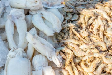 Raw shrimps at the street market in Egypt. clipart