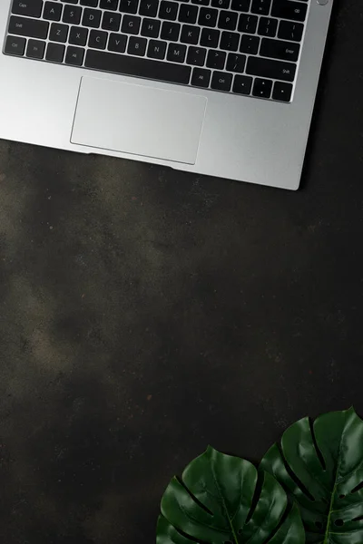 Espaço Trabalho Com Laptop Folhas Palma Fundo Preto Flat Lay — Fotografia de Stock