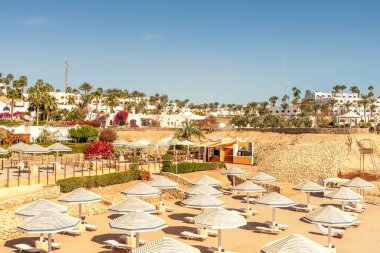 Tropikal sahilde şemsiyelerin altında sandalyeler. Yaz tatili kavramı.