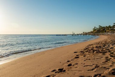 Tropikal plajlı yaz arkaplanı. Tatil ve seyahat macerası konsepti. 