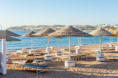 Tropikal sahilde şemsiyelerin altında sandalyeler. Yaz tatili kavramı.