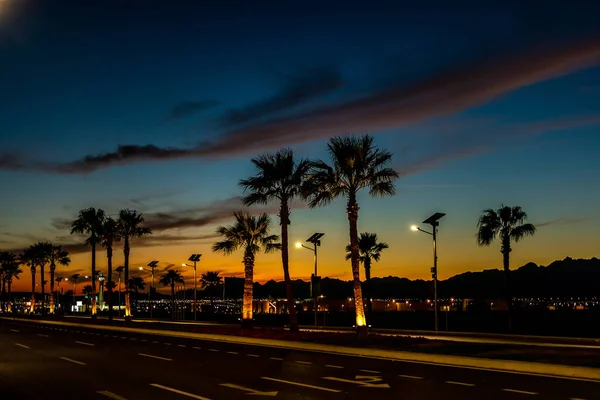 埃及沙姆沙伊赫有棕榈树的道路的夜景 — 图库照片