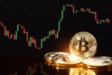Bitcoin kripto altın sikke. Bitcoin 'in yükseliş ve düşüş çizelgeleri.