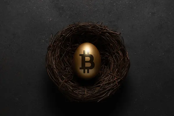 Gouden Met Een Bitcoin Teken Nest Zwarte Achtergrond Minimaal Investeringsconcept Rechtenvrije Stockfoto's