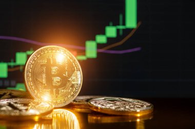 Bitcoin kripto altın sikke. Bitcoin 'in yükseliş ve düşüş çizelgeleri.