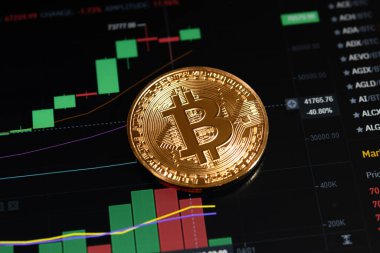 Bitcoin kripto altın sikke. Bitcoin 'in yükseliş ve düşüş çizelgeleri.