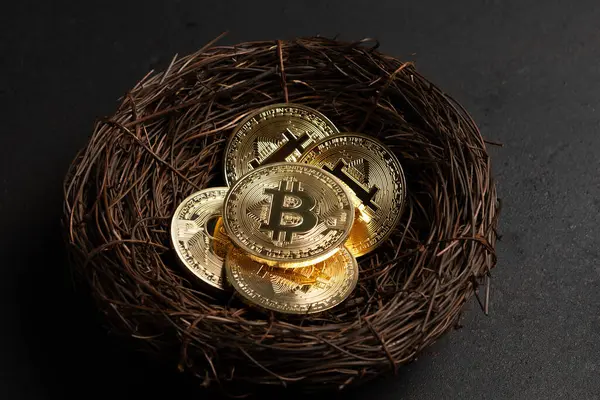 Bitcoin Monedas Oro Criptomoneda Nido Sobre Fondo Negro Concepto Inversión Fotos de stock libres de derechos