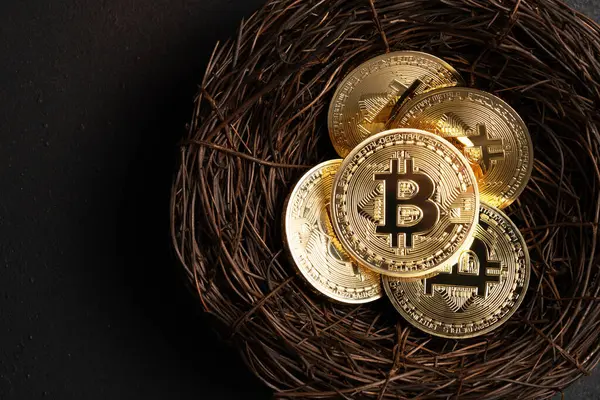 Minimaal Investeringsconcept Bitcoin Cryptogeld Gouden Munten Nest Zwarte Achtergrond Stockfoto
