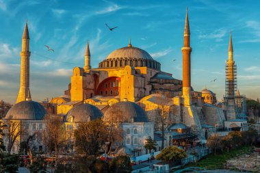 Sunset over Hagia Sophia mosque with seagulls in Istanbul, Turkey.