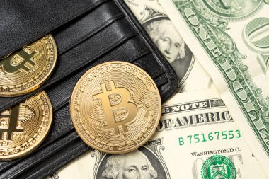 Bitcoin kripto altın sikkeler siyah cüzdanda Amerikan doları üzerinde.