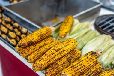 Üzerine tuz ve baharat serpiştirilmiş taze haşlanmış ya da ızgara mısır..