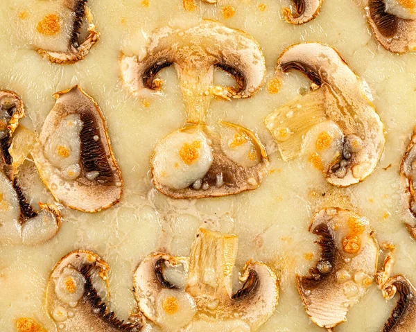 Frisch Gebackene Gourmet Pizza Mit Pilzen Und Käse — Stockfoto