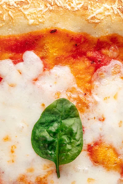 Close Sobre Gourmet Italiano Margherita Pizza Com Manjericão — Fotografia de Stock