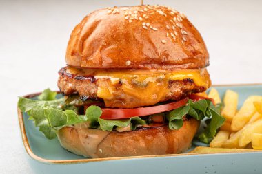 Hafif arka planda patates kızartması ve sığır etli burger.