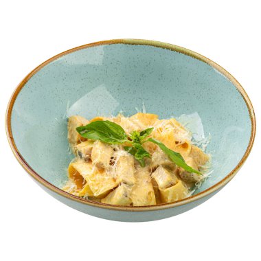 İzole edilmiş İtalyan pappardelle makarnası ve tavuk.