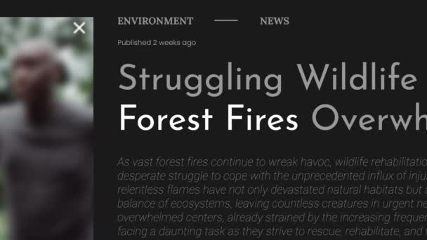 Termo Incêndios Florestais Destacado Nas Manchetes Notícias Fake Títulos Sobre — Vídeo de Stock