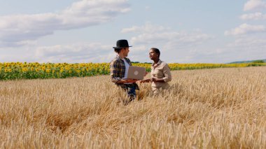 İyi görünümlü Afrikalı kadın ve kocası buğday tarlasının ortasında bu yılın hasatını inceleyen bir dizüstü bilgisayarla çiftçi..