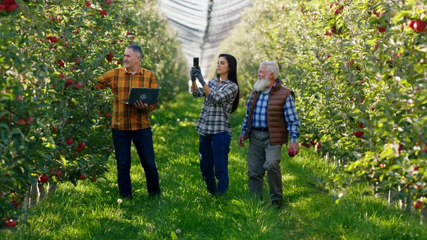 Good looking old man farmer happy walking through the apple orchard together with other farmers mature couple they using digital tablet and laptop to take some information about harvest. Portrait