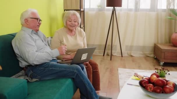 彼らは興奮を議論し 一緒に大きな笑みを浮かべてノートパソコンからビデオ通話を持っている家でソファに座って美しい老夫婦 — ストック動画