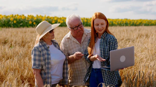Family business concept of agriculture old parents farmers and their daughter together analysing the result of harvest from this year using the laptop in the middle of wheat field. Portrait