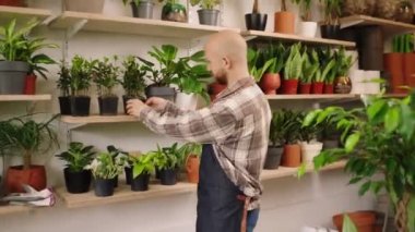 In the flowers shop the florist man very handsome walking through the store looking at the plants concept of small business florist. 4k