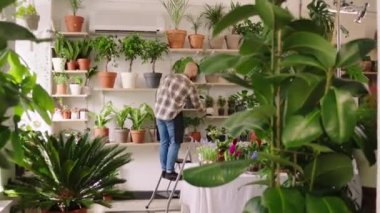 In the flowers shop the florist guy get up on the ladder and get some plants from the shop shelves and take care of them concept of small business florist entrepreneur. Shot on ARRI Alexa Mini