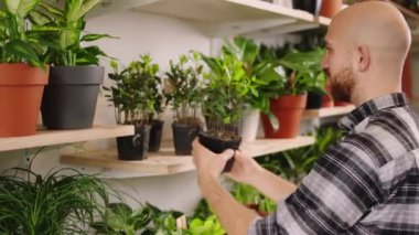 In the floral store the customer man attractive looking choose a plant from the pot take the plant from the shop shelves happy and excited. Shot on ARRI Alexa Mini