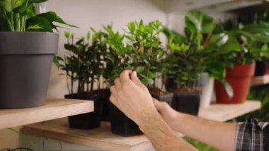 Çiçekçi dükkanındaki video çekiminde adam mağazadan hangi bitkileri alacağına karar veremediği bitkileri aldı. 4k