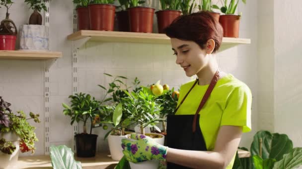 在镜头前 漂亮的花匠女人拿着一棵漂亮的桔子小树 在花店里照看着植物 — 图库视频影像