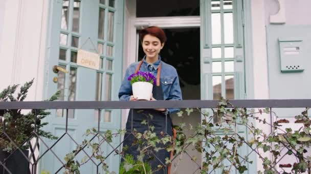 Beautiful Florist Woman Take Pot Flowers Flowers Shop Smiling Large — Vídeo de Stock