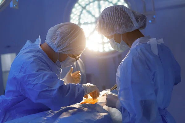 Zbliżenie Zdjęcia Chirurga Noszącego Okulary Koncentrującego Się Wykonaniu Operacji Pokoju — Zdjęcie stockowe