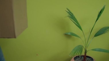 Closeup to the camera capturing video of a man carrying some boxes in the new house and put them down on the floor. 4k