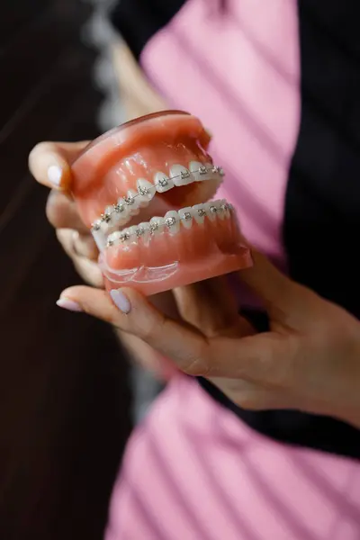 牙医会展示如何用牙刷在下巴上刷牙 医生们在工作时戴着手套 牙齿模型用于演示 牙科医生 — 图库照片