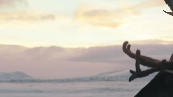 Ren Geyiği Sveç Lappland Soğuk Karda Yürüyen Ren Geyiği Ağır — Stok video