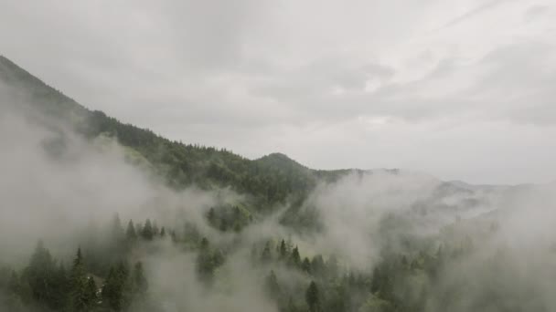 Fantastisk Och Vacker Landskap Toppen Berget Toppar Tätt Befolkad Med — Stockvideo