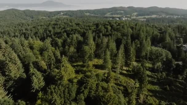 Meio Montanhas Filmadas Com Drone Uma Vasta Floresta Verde Paisagens — Vídeo de Stock