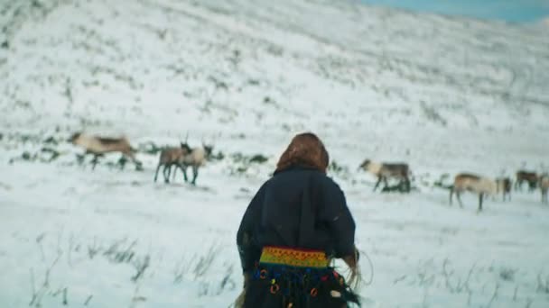 Tsagaannuur Hovsgol Mongólia Janeiro 2023 Pastoreio Renas Mongólia Uma Tradição — Vídeo de Stock