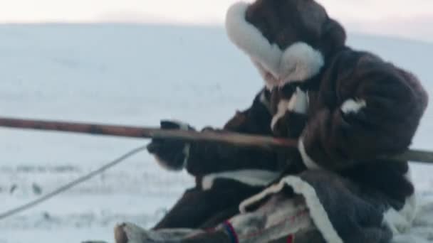 Rendieren Lopen Een Bobby Pad Prachtige Scandinavische Winteromgeving — Stockvideo