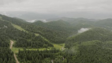 Kasvetli bir günde insansız hava aracıyla çekim yapmak doğanın olağanüstü bir manzarası dağlar, çam ağaçlarıyla dolu yemyeşil ormanlarla bezenmiş yağmurdan sonra. 4k