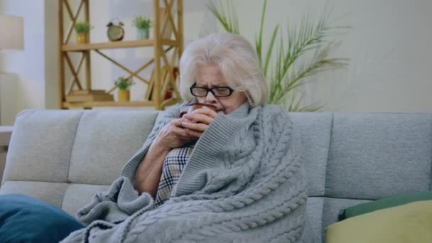 Πολύ Άρρωστη Ηλικιωμένη Γυναίκα Πίνοντας Λίγο Ζεστό Ρόφημα Είναι Άρρωστη — Αρχείο Βίντεο