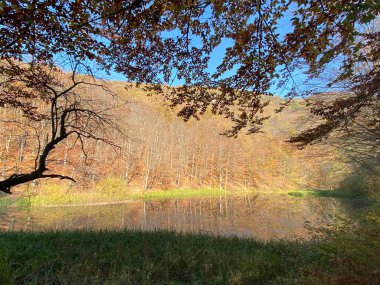 Göllü güzel bir manzara.