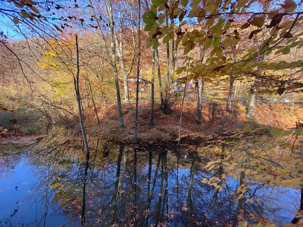 Bela Vista Floresta Com Lago — Fotografia de Stock